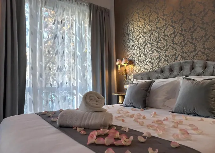 Pensionat Dorotea Centro 4*